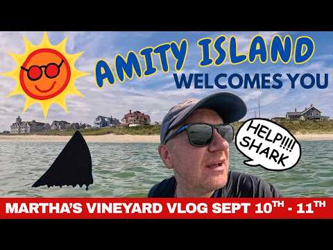 Uploads from SteveMarsh
