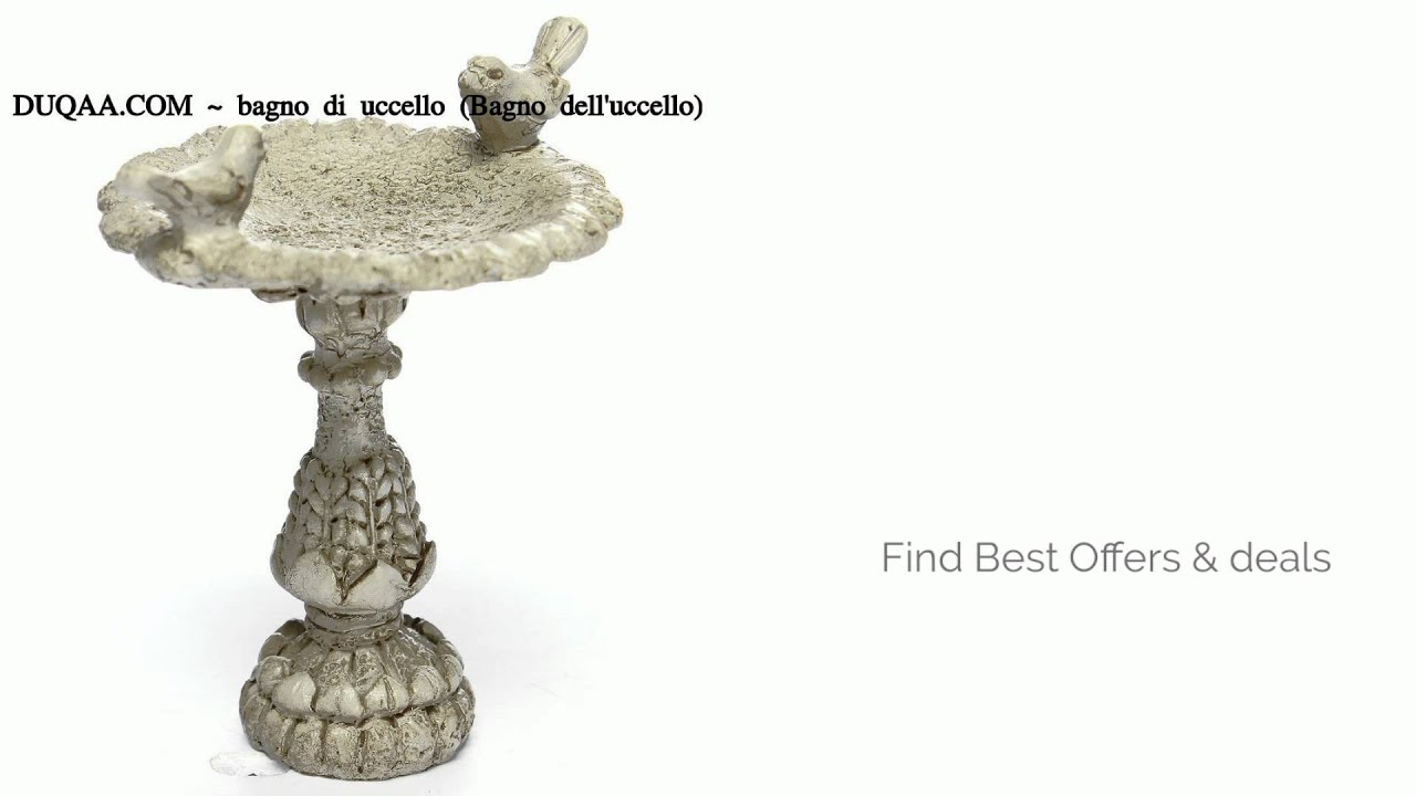 Buy Bird Bath/Feeder at Duqaa.com