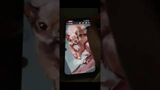 Squirrel on Procreate Pocket