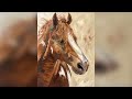 Rebecca Robb Fine Art San Diego | Modern Art Gallery, Studio Space & Fine Art Collection