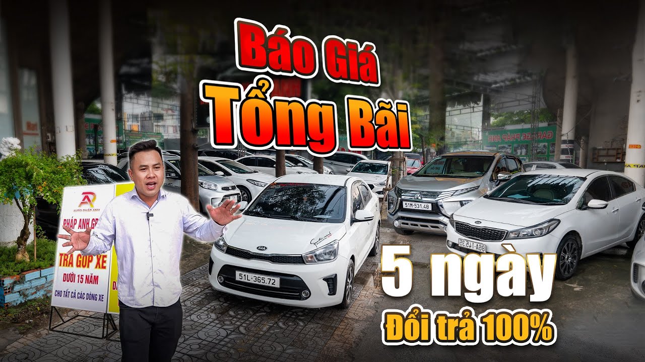 BÁO GIÁ TỔNG BÃI: Đầu tháng 10, tháng bức phá với rất nhiều xe cặp bến liên tục | Auto Car Pháp Anh