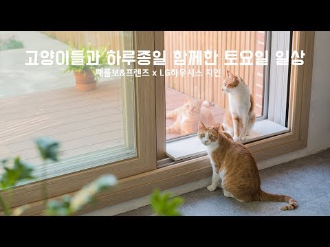 고양이들과 하루종일 함께한 토요일 일상 / 째폴보&amp;amp;프렌즈 x <strong>LG하우시스</strong> 지인 (굿즈 이벤트)