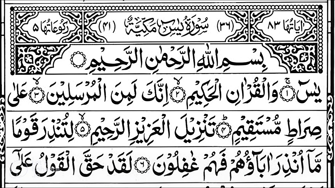 Surah Yaseen Surah Ar Rahman | Best Quran Recitation | Surah Yasin Tilawat | Episode_002