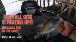 The fall bite is heating up