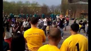 Stony Brook Latin Block Party Strolling