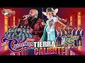 Banda Los Costeños, Los Remis, Gerardo Díaz, Betos y Sus Canarios - Puro Tierra Caliente Mix