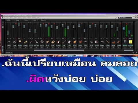 ทาสชีวิต คาราโอเกะ วินัย จุลละบุษปะ Eb