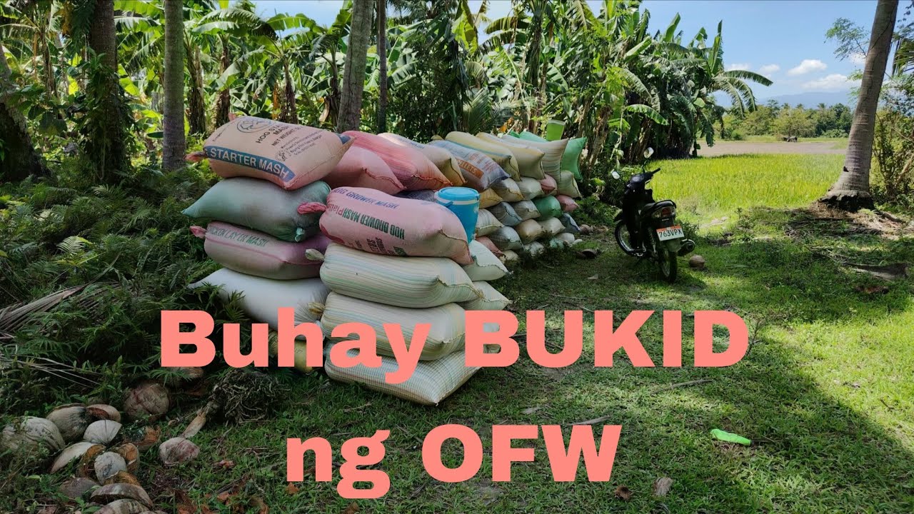 Jackpot si Ka MOMMY sa presyo ng PALAY 22 pesos per kilo  ( 3/3/26 )