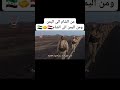 نشيد يضم بلاد التوحيد و سوريا و اليمن أداء المنشد عبدالله قديش