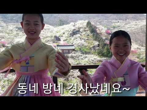 😍경사났네:신곡❤미스트롯2 ❤청학동:김다현 ❤국악자매 #김도현,김다현 #미스트롯 #김봉곤 훈장 딸#생일노래 #생일송#불후의명곡,우승 #《김다현TV》#《김봉곤TV》구독 감사합니다💛