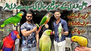 Visit A To Z Birds Shop in Karachi | Sun Conure, Color Ringneck, Fawn Pastel Java & African grey