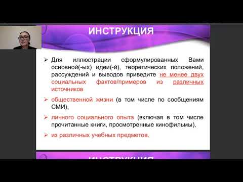 Видео: Эссе четвертого класса делает собаку официально 