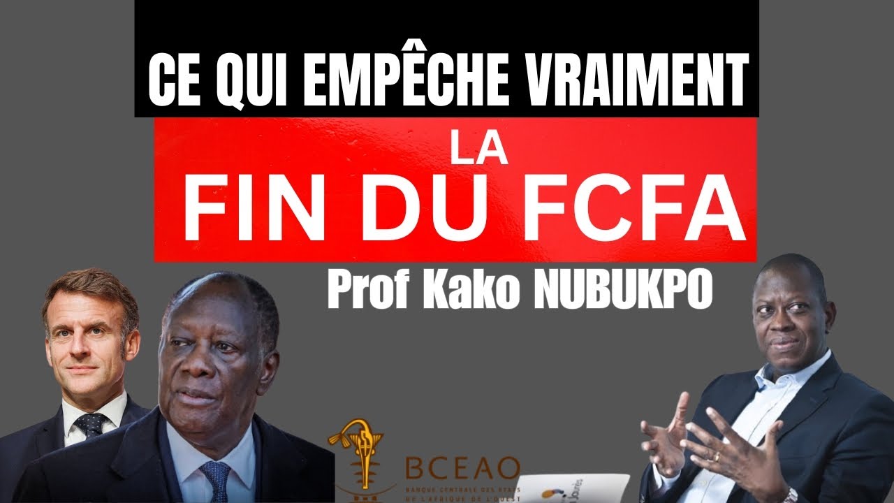 Sortir du FCFA = Mission Impossible ? Voici les Vrais Blocages - Kako NUBUKPO
