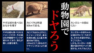 【雑学】人気動物たちの残念すぎる特徴まとめ（12選）