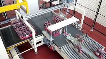 LITA Palletising Systems - High speed layer type Palletizer PRESTO 3-DE