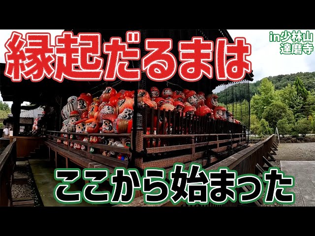 Takasaki] The Roots of Lucky Daruma! What is Shorinzan Daruma-ji