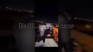 a cazar therians🗣️👌 #humor #apoyoporfa #apoyoplis #memes #furry