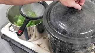 20200701 Harvesting Broccoli 4