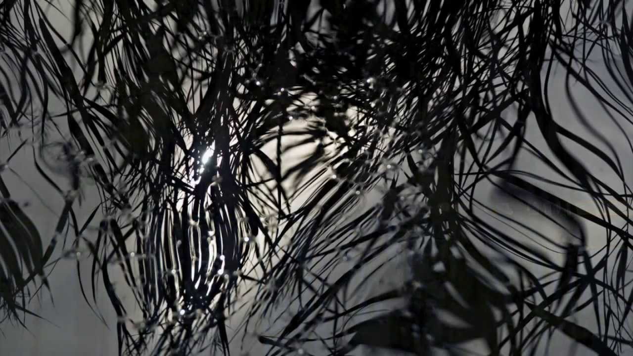 Soundlines Animation Soundlines - Trailer 2013 - YouTube