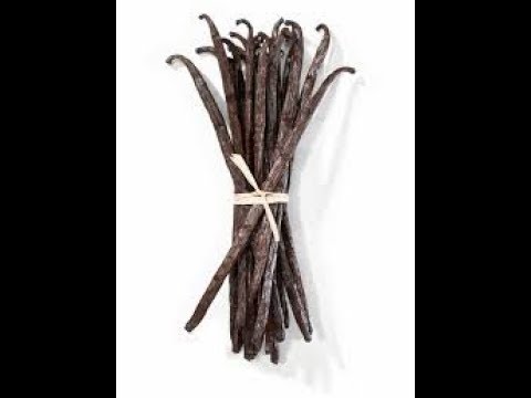 ma-selection-de-parfums-vanillés