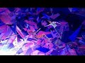 RUKI(JO1・白岩瑠姫)による主題歌「巡星」入り『アズワン/AS ONE』予告映像が公開