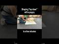 Shaping the “lay down” behavior #puppytraining #puppy #labpuppy #santarosadogtrainer