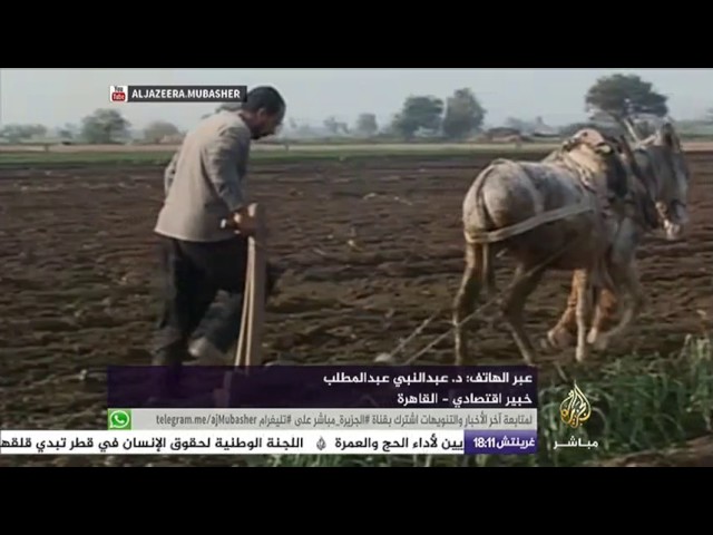 المسائية .. موجة غضب عارمة بين المزارعين المصريين بسبب اختفاء كافة انواع الأسمدة