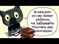 ✔️Увидел статус: "Зафтра икзамин па рускаму! Думаю, что сдаду!". Кто бы сомневался. Конечно, сдадёт!