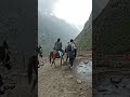 अमरनाथ धाम 🕉️ | बर्फ के शिवलिंग के चमत्कारिक दर्शन