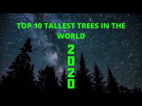 TOP 10 TALLEST TREE IN WORLD 2020