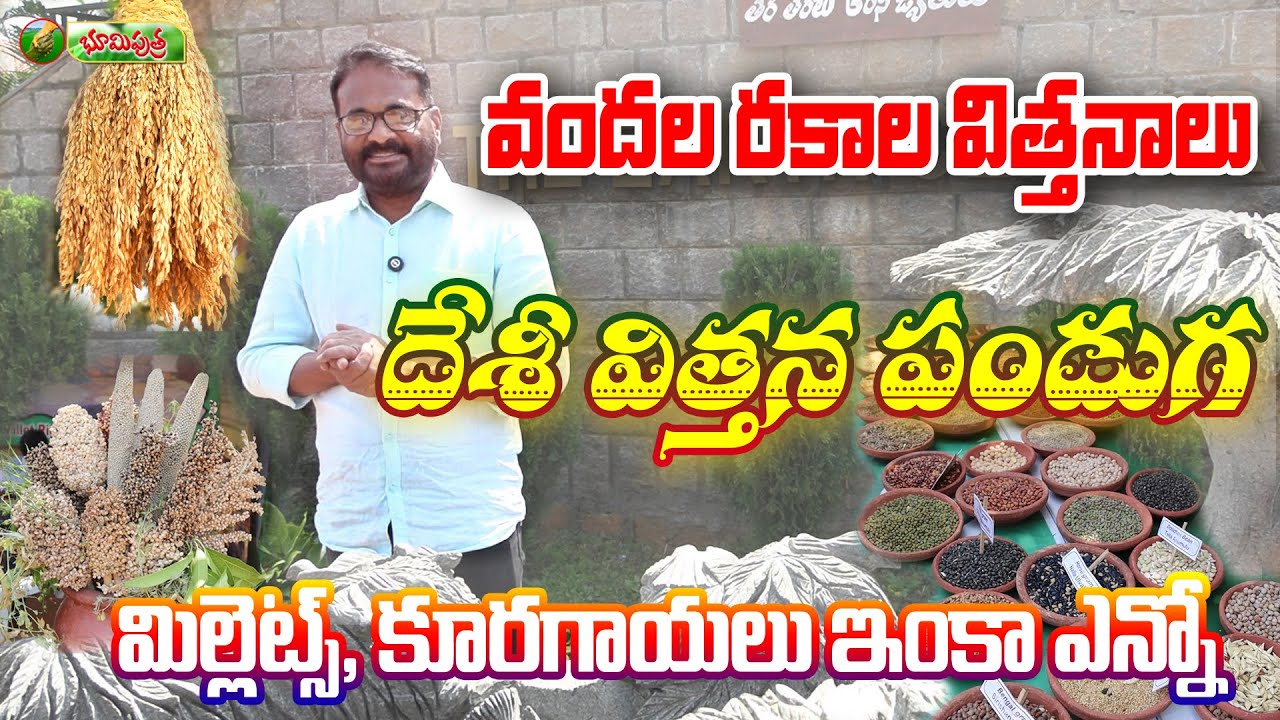 పక్కా దేశీ విత్తనాలు | desi seed festival | bhumiputhra telugu