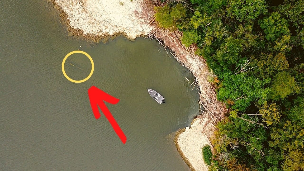 MOST Fisherman IGNORE This In LOW Water (Bass Fishing Tips)