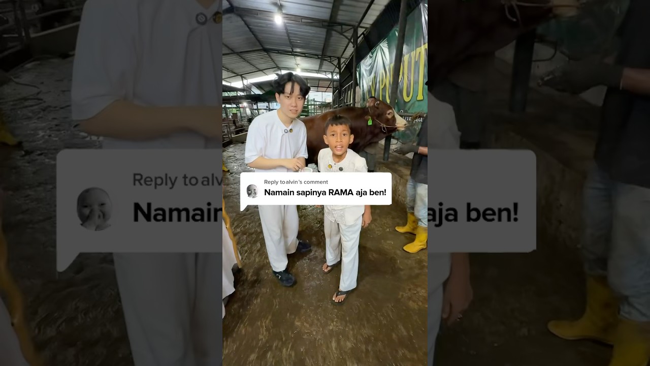 Namain RAMA Sapi Kurbannya 🤣😅😍🥰😘 #vilmei #williesalim