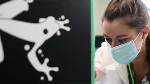 Scaling-Up Cell Therapy Manufacturing: TreeFrog Therapeutics and Invetech Announce Partnership