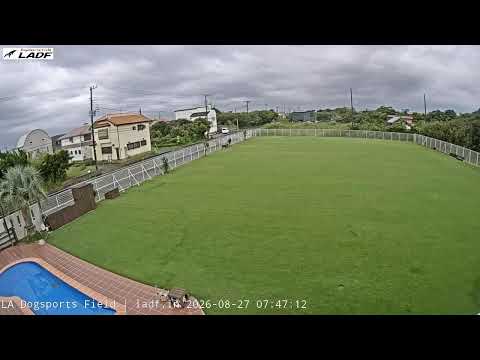 Sanmu Dog Run live cam preview