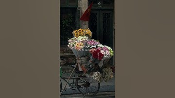 ولقد خلقنا الإنسان ونعلم ما توسوس به نفسه - القارئ { حمزة بوديب }