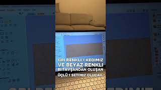 Askere Gidene Kadar Bebek Mobilya Markamı Kuruyorum Gün 24 Kalan 136