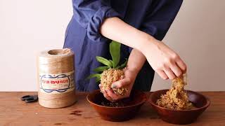 苔玉の作り方