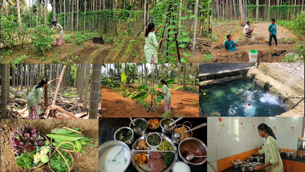 இன்னைக்கு களி, கருப்பட்டி கேசரினு எவ்வளவு கலர்ஃபுல்ல இருக்க பாருங்க🌱Harvesting and cooking lunch