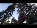 Risky Traverse, Tree measuring, Grand Fir, Vancouver Island