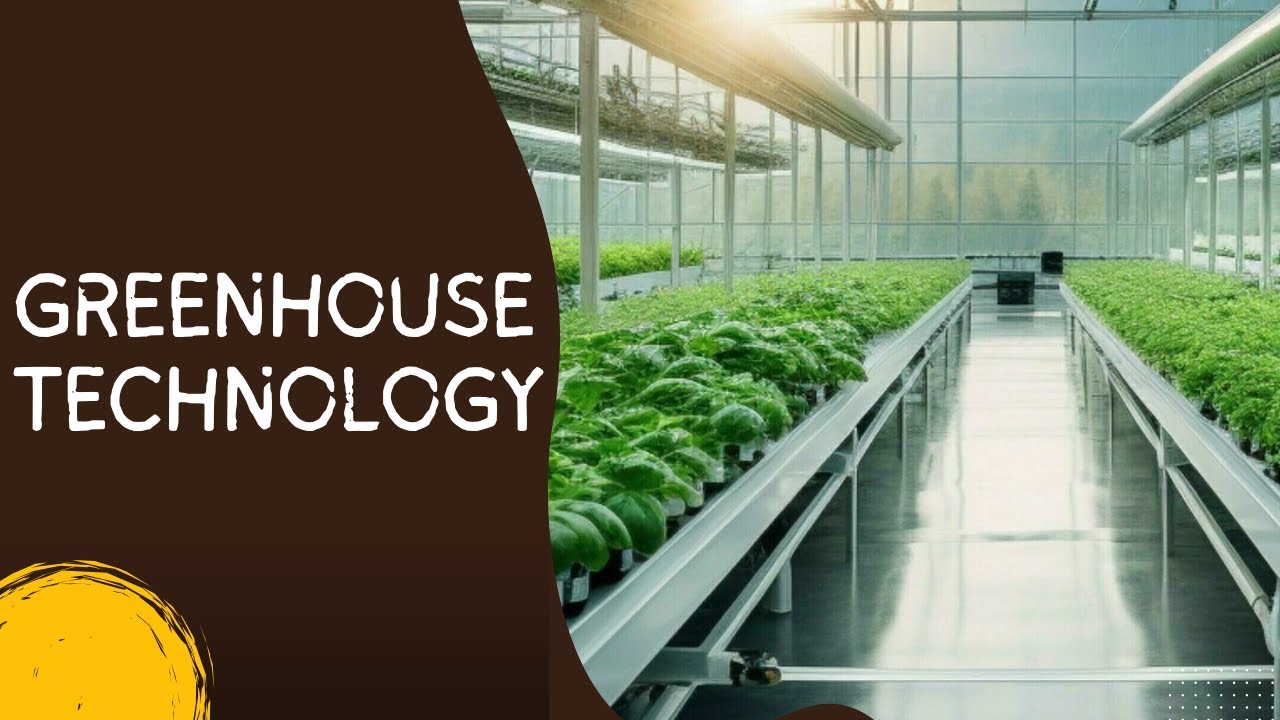 Greenhouse Technology | Advancing Sustainable and Controlled Agriculture