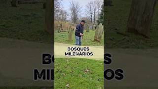 cerrada hace 500 años #youtube #explore #abandonedplaces