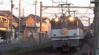 【スーパーライナー「いよ」ヘッドマーク付き】JR貨物 EF65-2090号機(新鶴見)+コキ18両 貨物列車75レ 2020.03.24