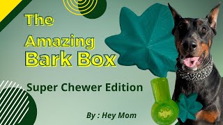Super Chewer Unboxing April 2022 Review of the Bark Box 420 Edition