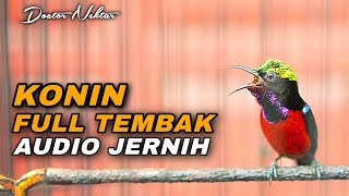 MASTERAN KONIN GACOR FULL ISIAN TEMBAK MATERI MEWAH AUDIO JERNIH COCOK BUAT KOLIBRI NINJA BAHAN