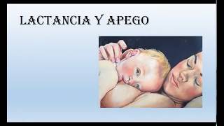 Carolina Bravo-11