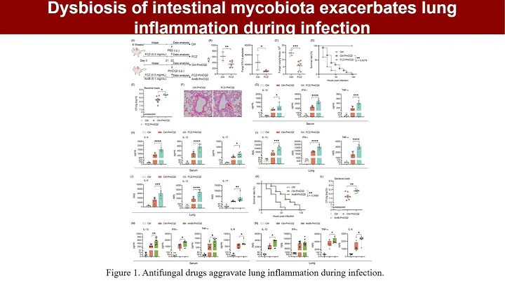iMeta | Interaction between intestinal mycobiota and microbiota shapes lung inflammation
