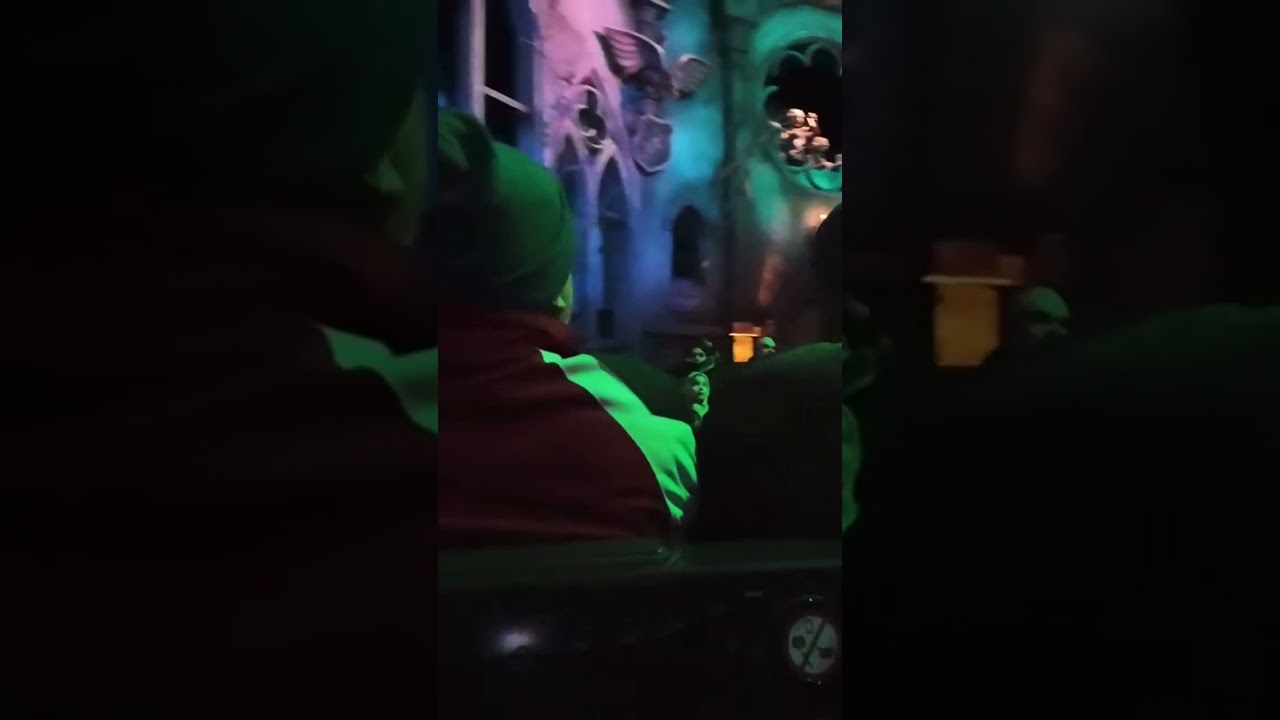 🎭 Danse Macabre OnRide POV 😱 | Duistere Efteling-ervaring | Theme Park Holland 