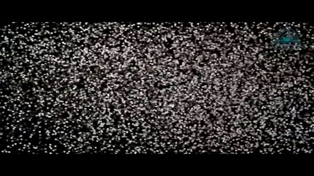 الجسد الواحد - كسوة الشتاء .