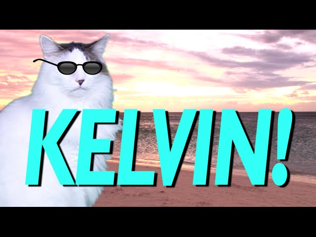 HAPPY BIRTHDAY KELVIN! - EPIC CAT Happy Birthday Song